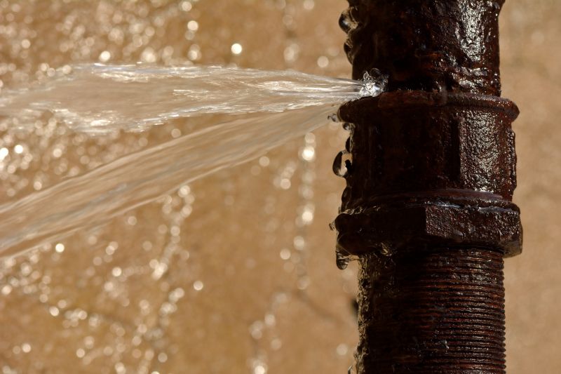 Environmental Impact Reduction